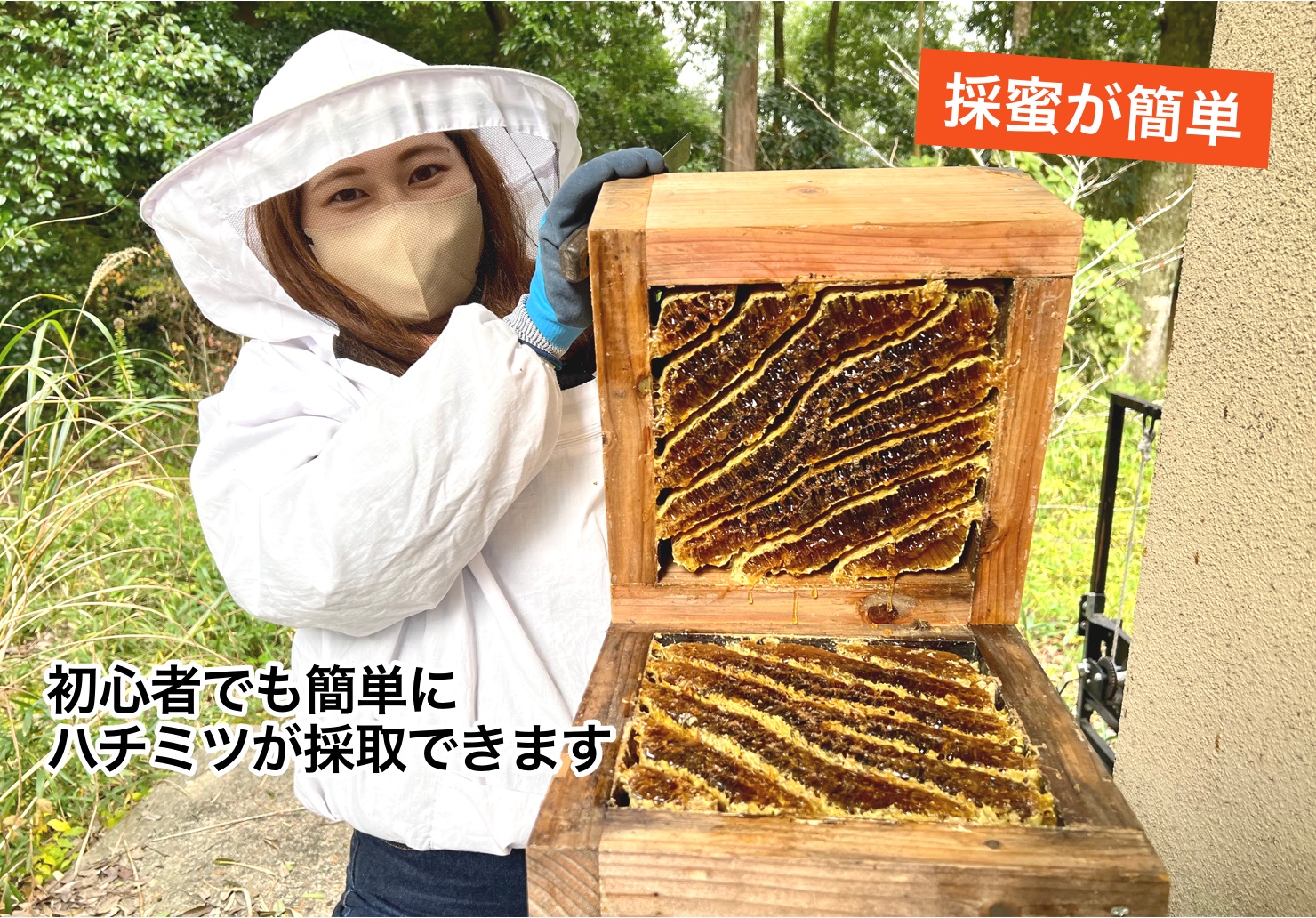 重箱式巣箱4段セット : 週末養蜂家ショップ - 通販 - Yahoo!ショッピング