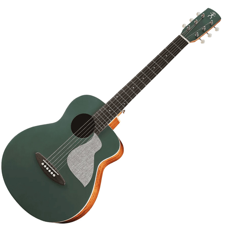 aNueNue アヌエヌエ aNN-MC10 アコースティックギター ミニギター