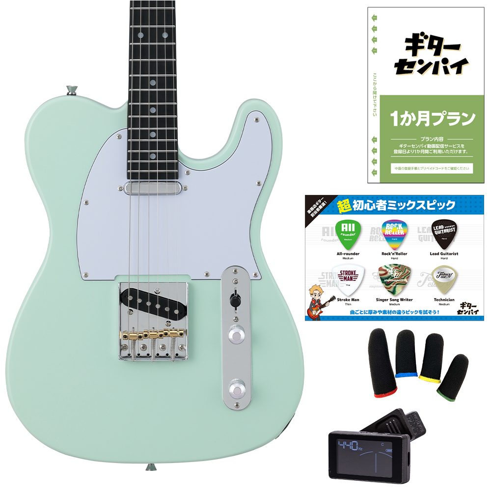 ギターを挫折したくないあなたへ BUSKER'S バスカーズ BTL-Standard 超