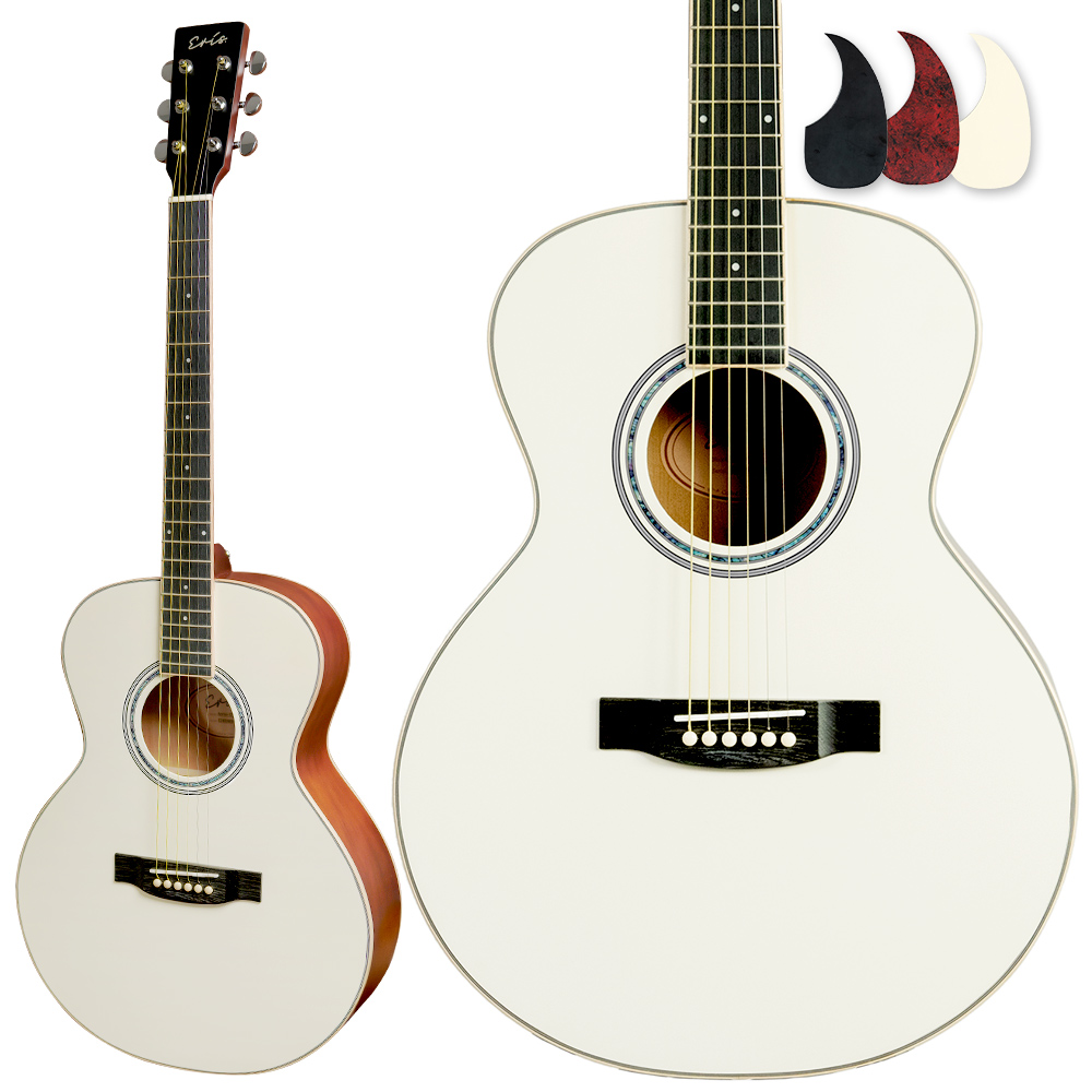 Eris. エリス Aproa アコースティックギター ピックガード3種付属 牛骨