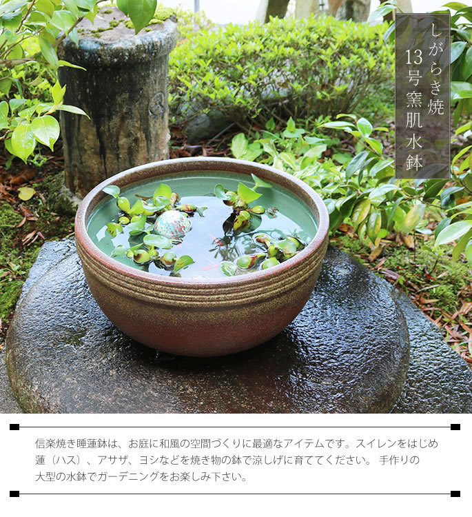 信楽焼手作りめだか鉢水連鉢ビオトープ直径50〜52㌢