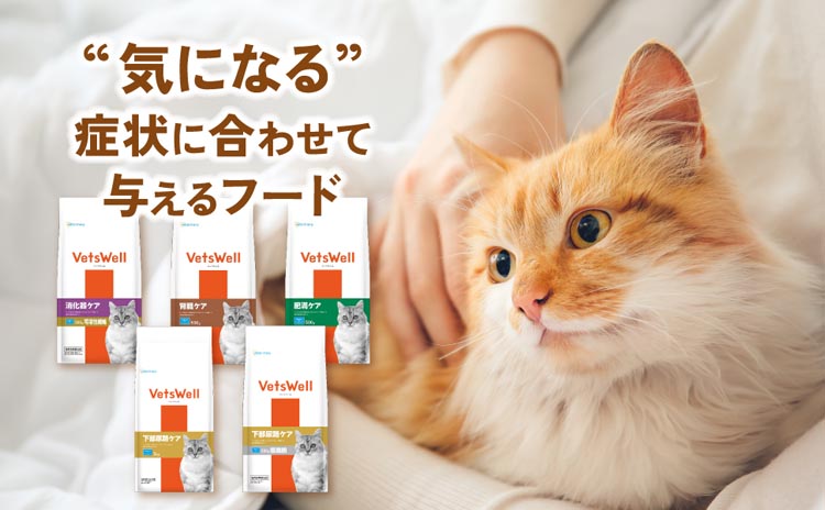 ベッツウェル 猫用食事療法食 腎臓ケア ( 2kg )/ : 爽快ドラッグ