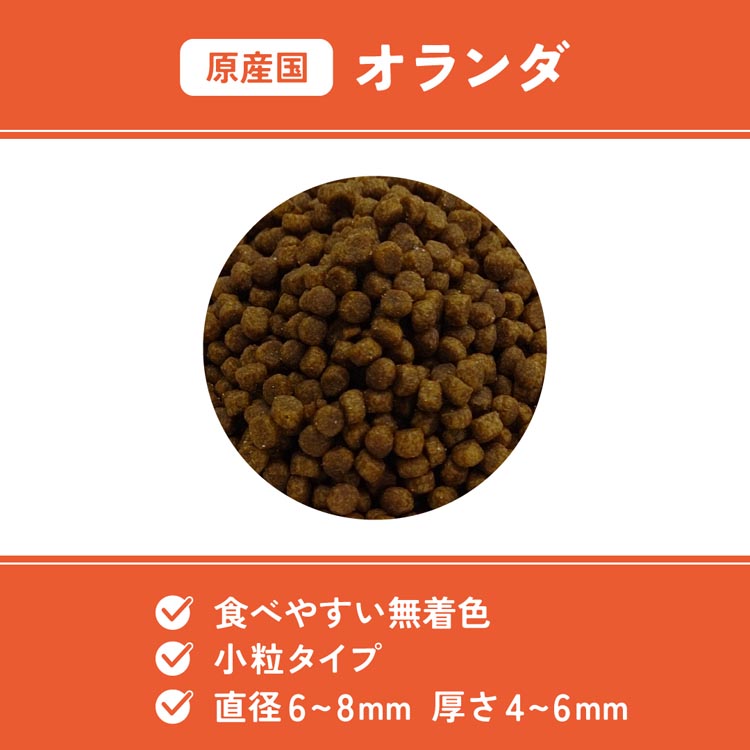 ベッツウェル 猫用食事療法食 腎臓ケア ( 2kg )/ : 爽快ドラッグ