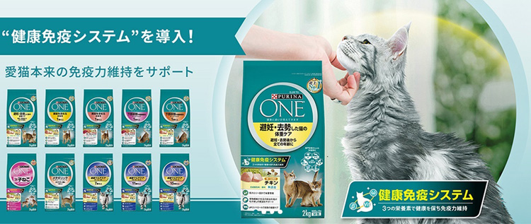 ピュリナワンキャット 1歳まで子猫／妊娠授乳期母猫チキン ( 4袋入×6