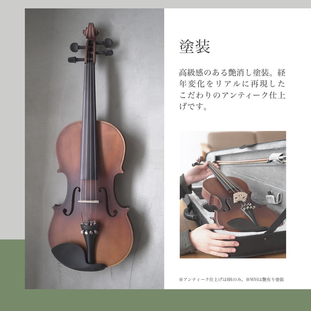 バイオリン 初心者セット Hallstatt V-12 〔ヴァイオリン 入門