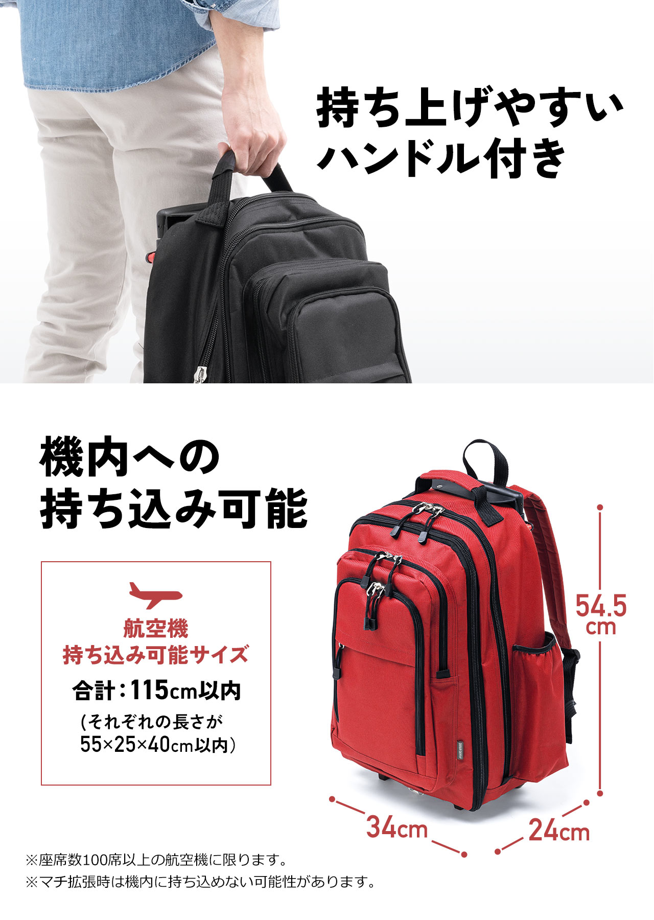 SANWA SUPPLY（サンワサプライ） リュック キャリーバッグ 機内