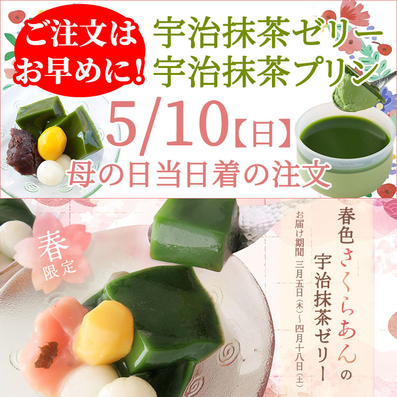 家康公遺訓書 紙本掛け軸 紫岳筆 緞子表具仕立て 2025年最新】