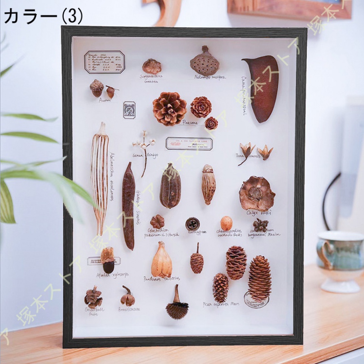 fzq-3mm-vy3xk8u_2.jpg?size=n