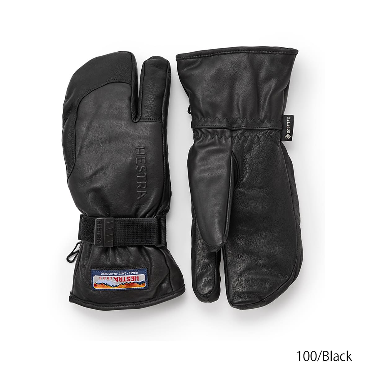 HESTRA（ヘストラ） 【全品P10倍！8日23時59まで】HESTRA スキー