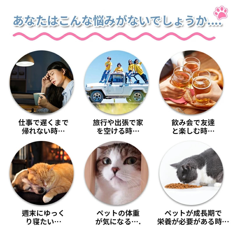 自動給餌器 カメラ付き 猫 犬 ペット給餌器 3L 大容量 スマホ連動 遠隔