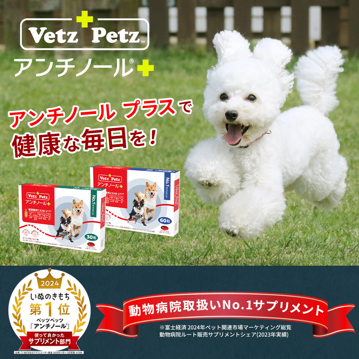 VetZ PetZ アンチノール 90粒 【公式通販】