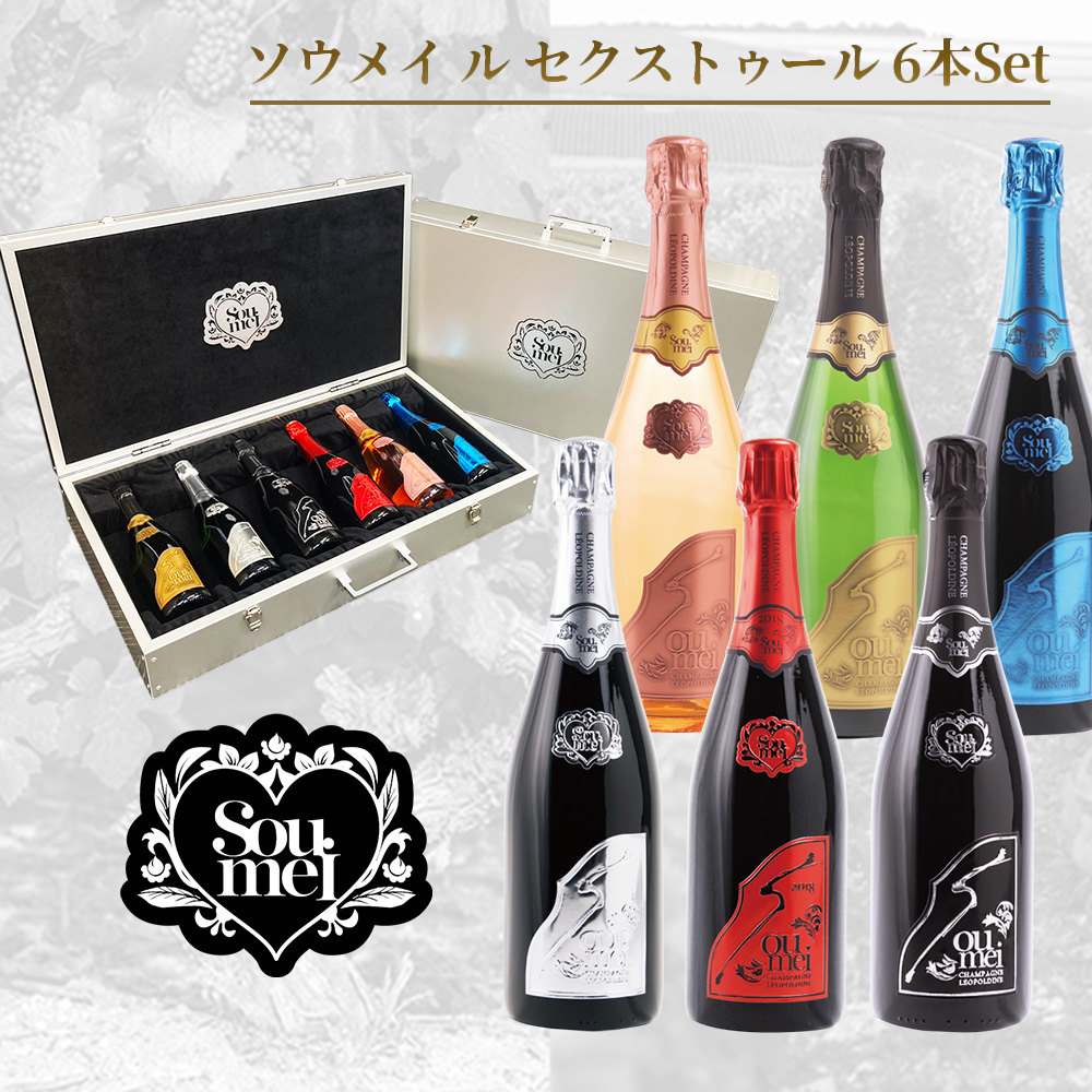 送料無料 正規品】【豪華アタッシュケース】ソウメイ ル セクス