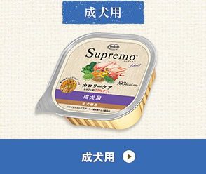 シュプレモ ニュートロ ドッグフード 犬 フード ドライ 子犬用 子犬 母