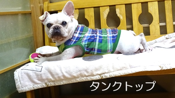 フレンチブルドッグ服・MARUCOCCO - Yahoo!ショッピング