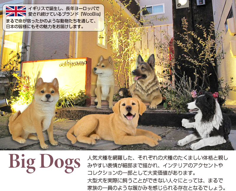 お座り 柴犬 （大） 41 x 17 40.2cm (幅x奥x高) 本物そっくり リアル