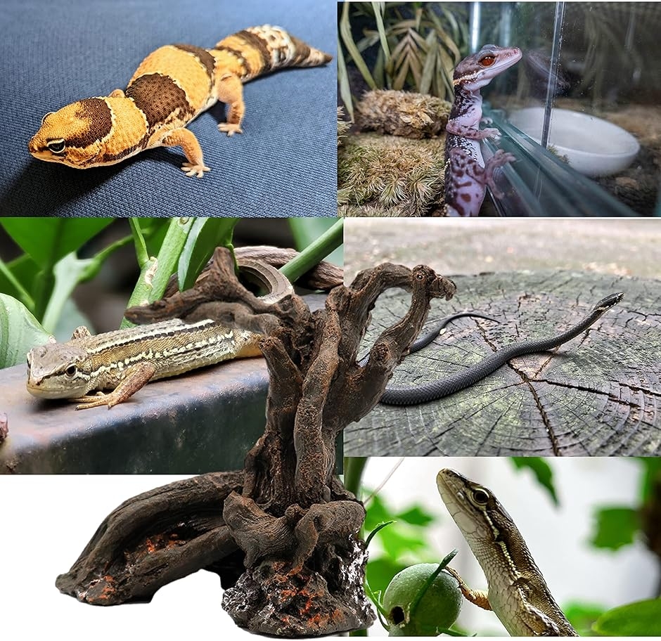 353】流木 インテリアや爬虫類などに 止まり木 アクアリウム 【公式通販】