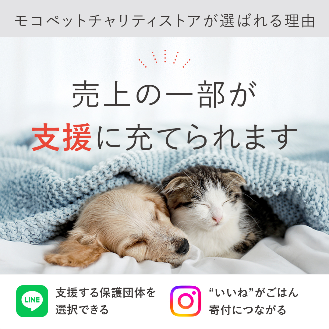 エアバギーフォーペット] ドーム3 ラージサイズ専用 レインカバー