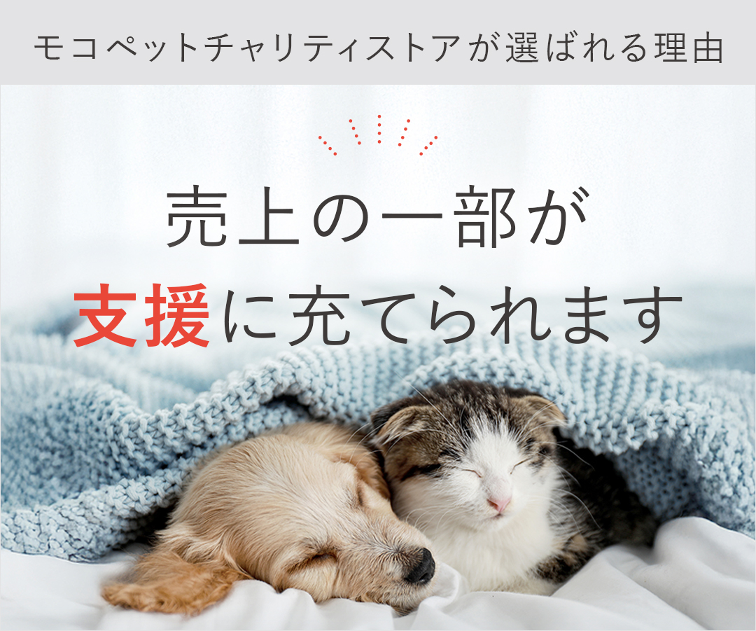 ロイヤルカナン（ROYAL CANIN） ミニ インドア アダルト 8kg / 室内で