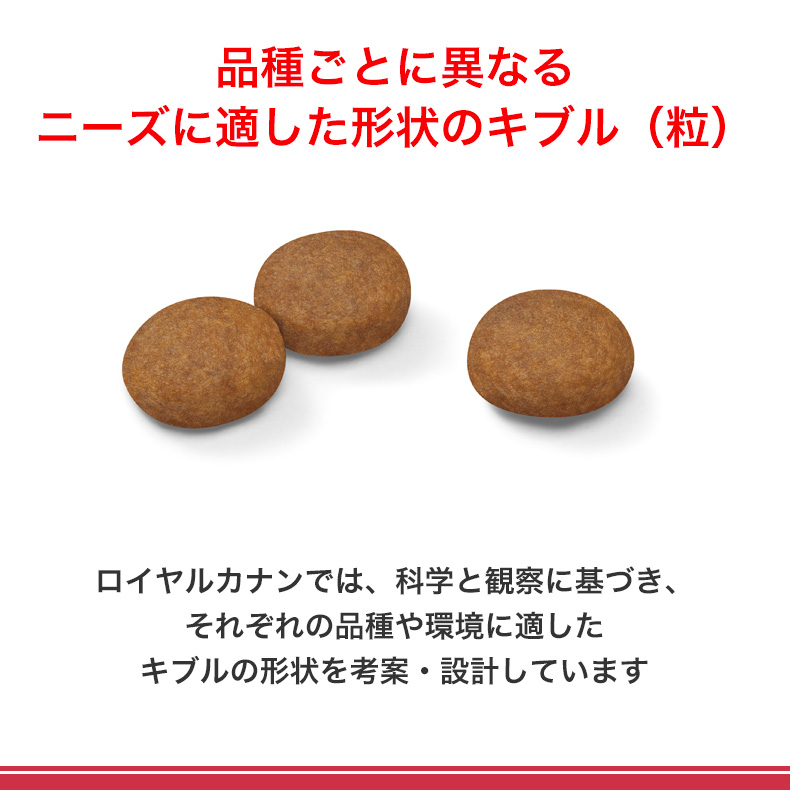 ロイヤルカナン（ROYAL CANIN） ミディアム アダルト 7＋ 10kg / 中型