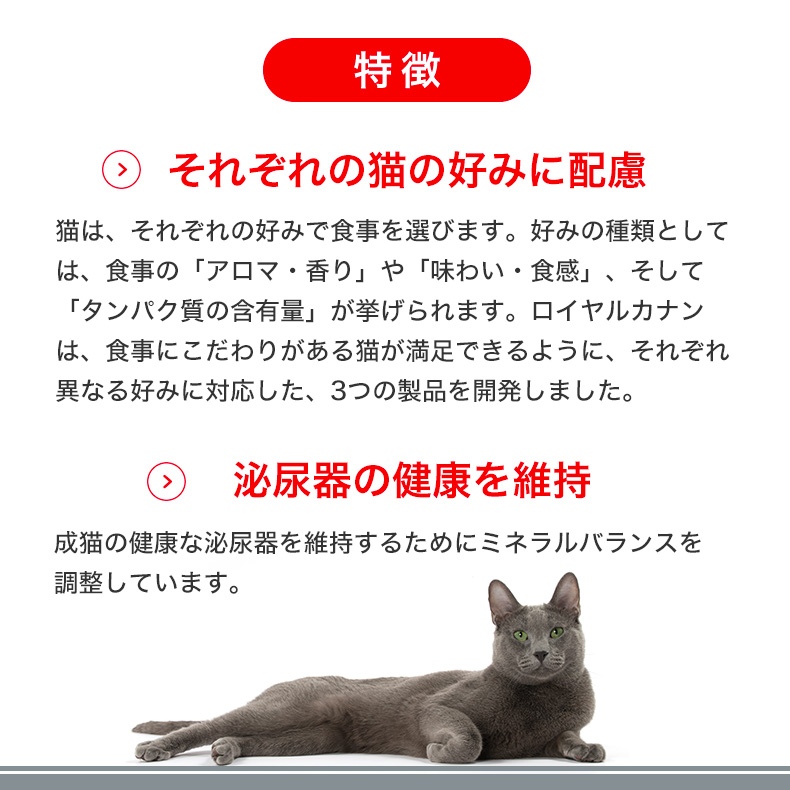 ロイヤルカナン（ROYAL CANIN） セイバー エクシジェント 10kg