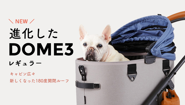 選べる豪華特典！】エアバギー ドーム3 ブレーキ レギュラー R