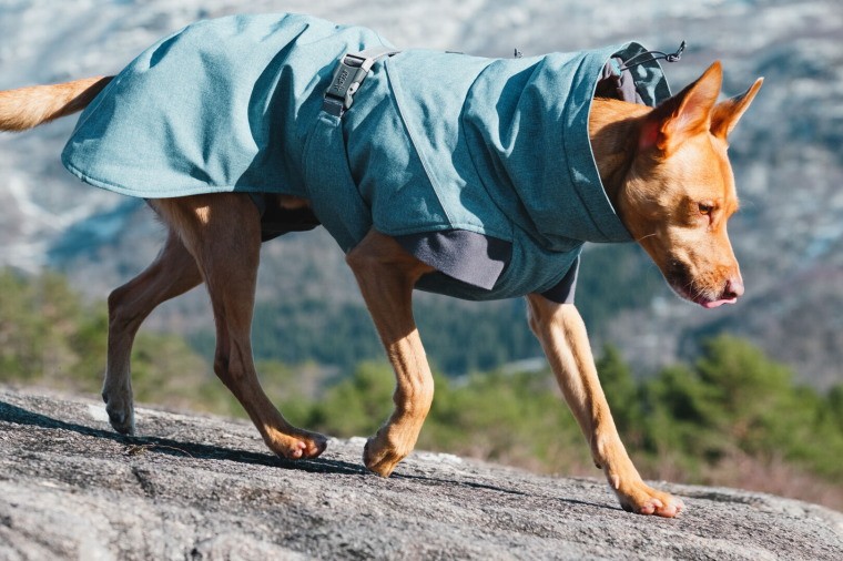 フィンランドのドッグブランド Hurtta フルッタ ドッグジャケット