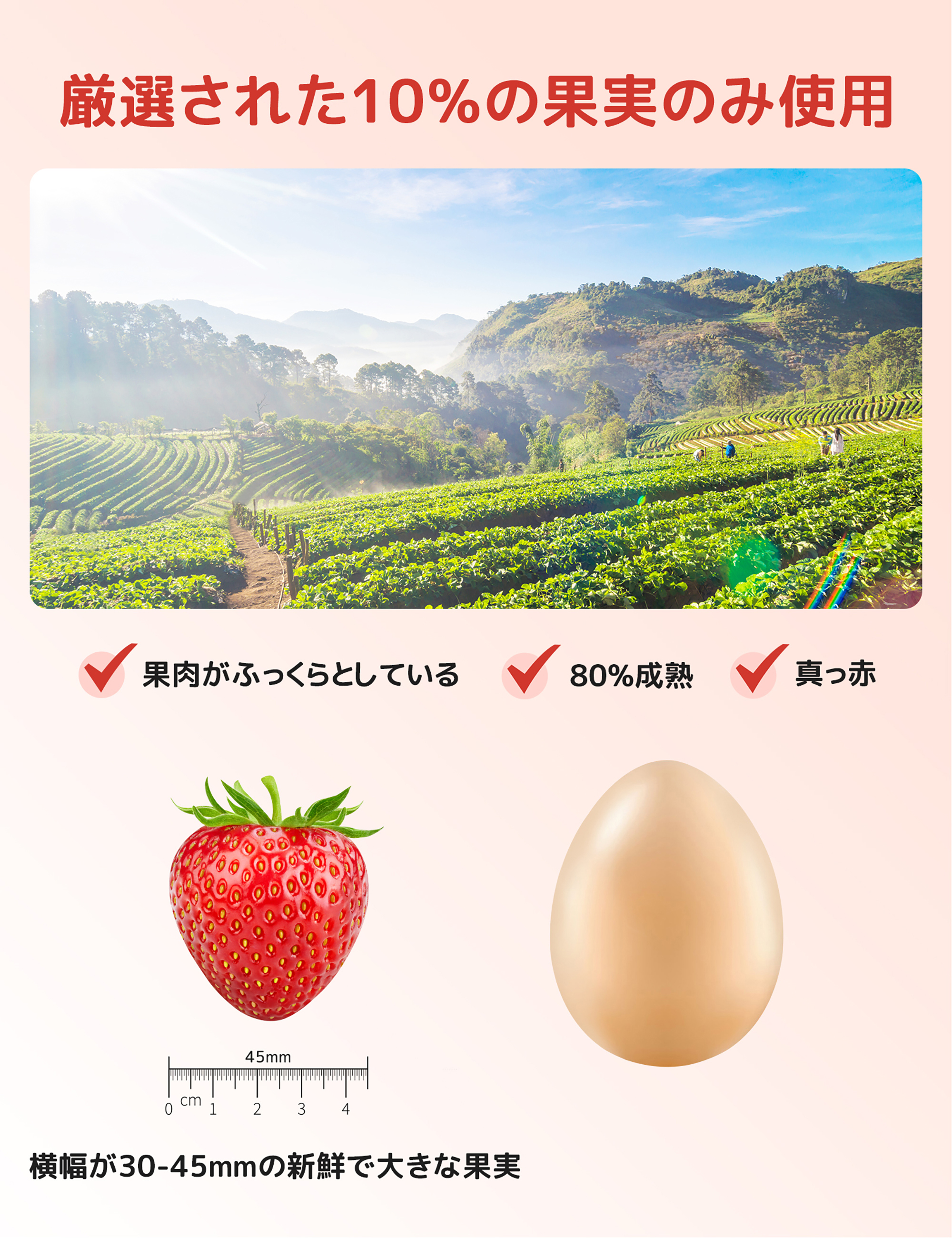 フリーズドライ いちご ドライフルーツ イチゴ 丸ごと 苺 お子様に