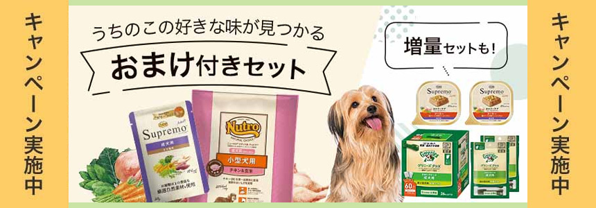 ニュートロ特集|チャーム