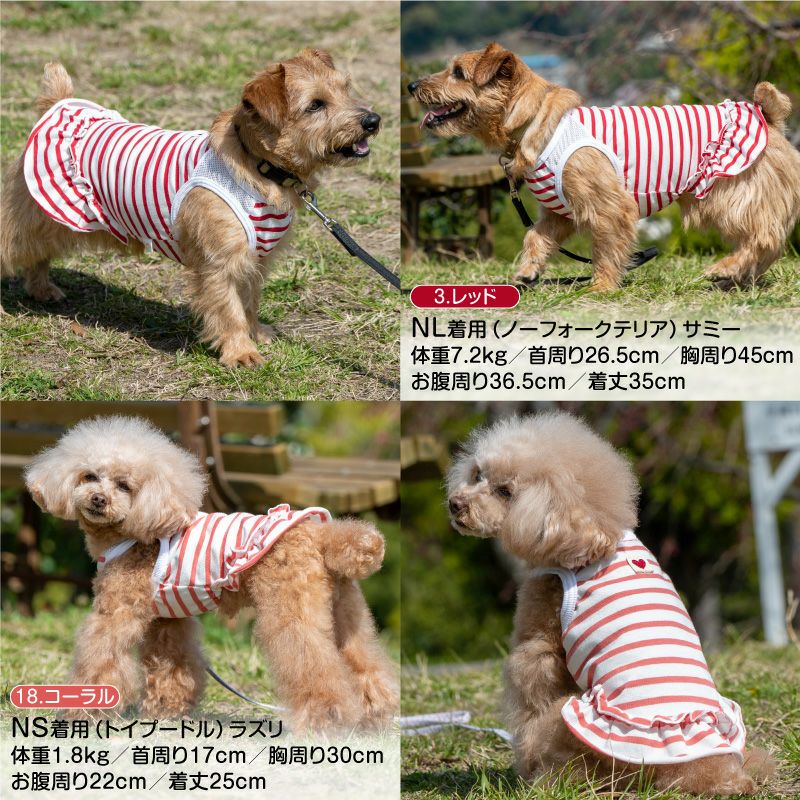 犬 服 冬 秋 肩切替 ボーダー フリル ワンピース ダックス 小型犬用