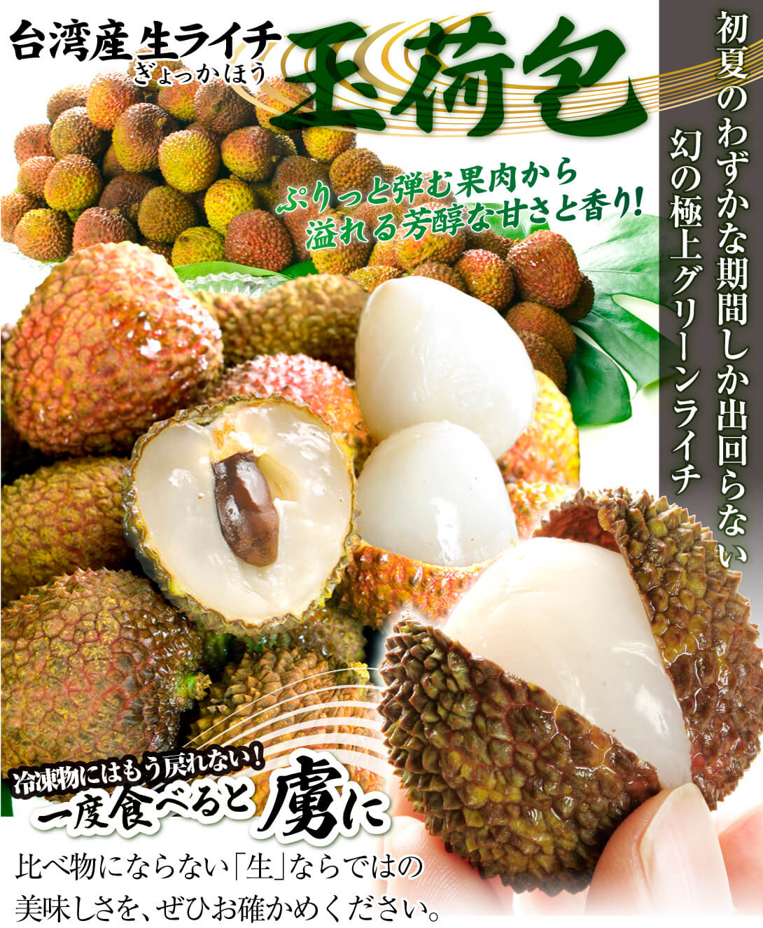 ライチ 1kg 生ライチ 玉荷包 台湾産 ぎょっかほう グリーンライチ 茘枝