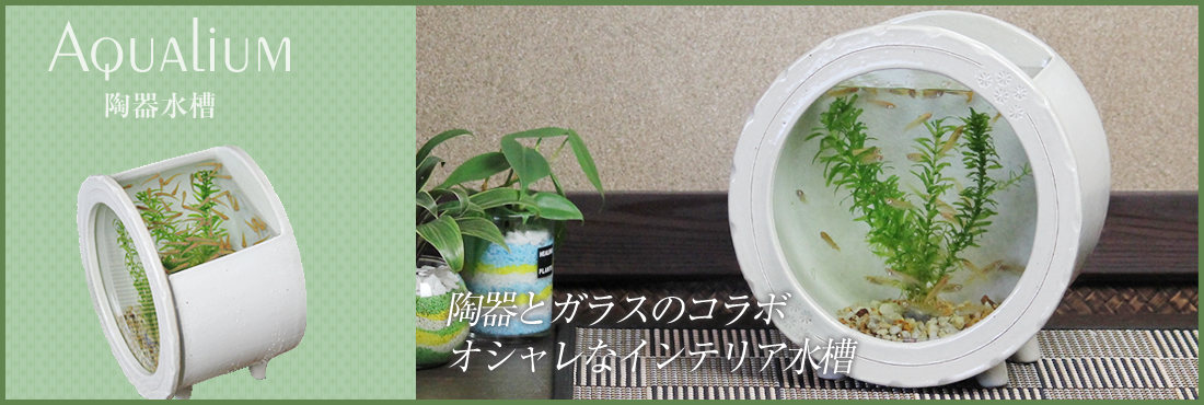 福を呼ぶ信楽焼の産直ブランド しがらき