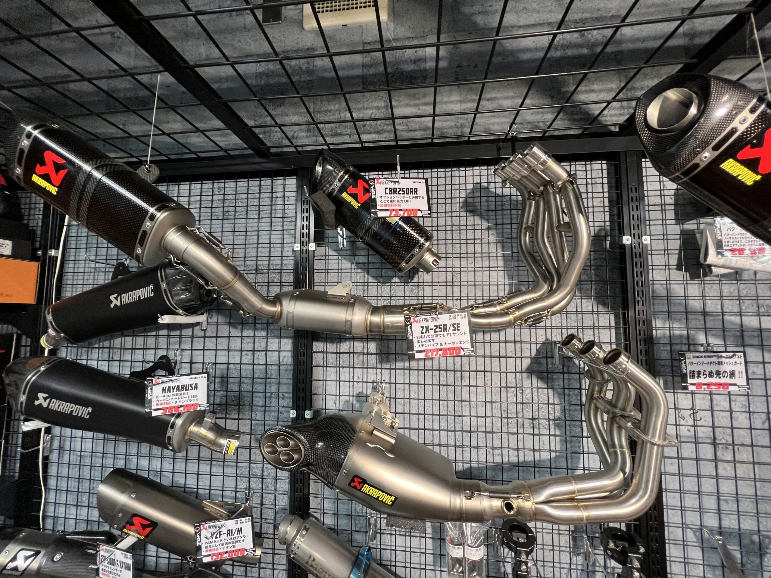 アプモンチップ プロモ(UGR) 全6種コンプセット アプモンチップ