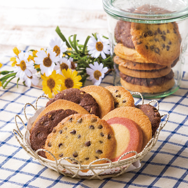 アントステラ ステラズセレクト（L） | シャディギフトモール