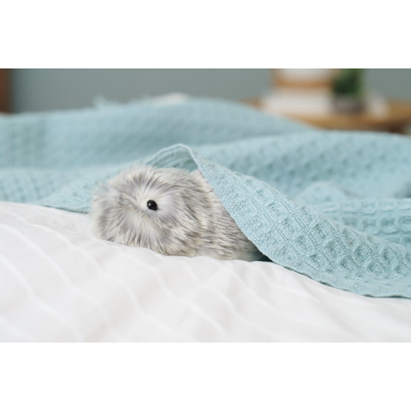 カシオ モフリン シルバー カシオ モフリンシルバー | シャディギフト