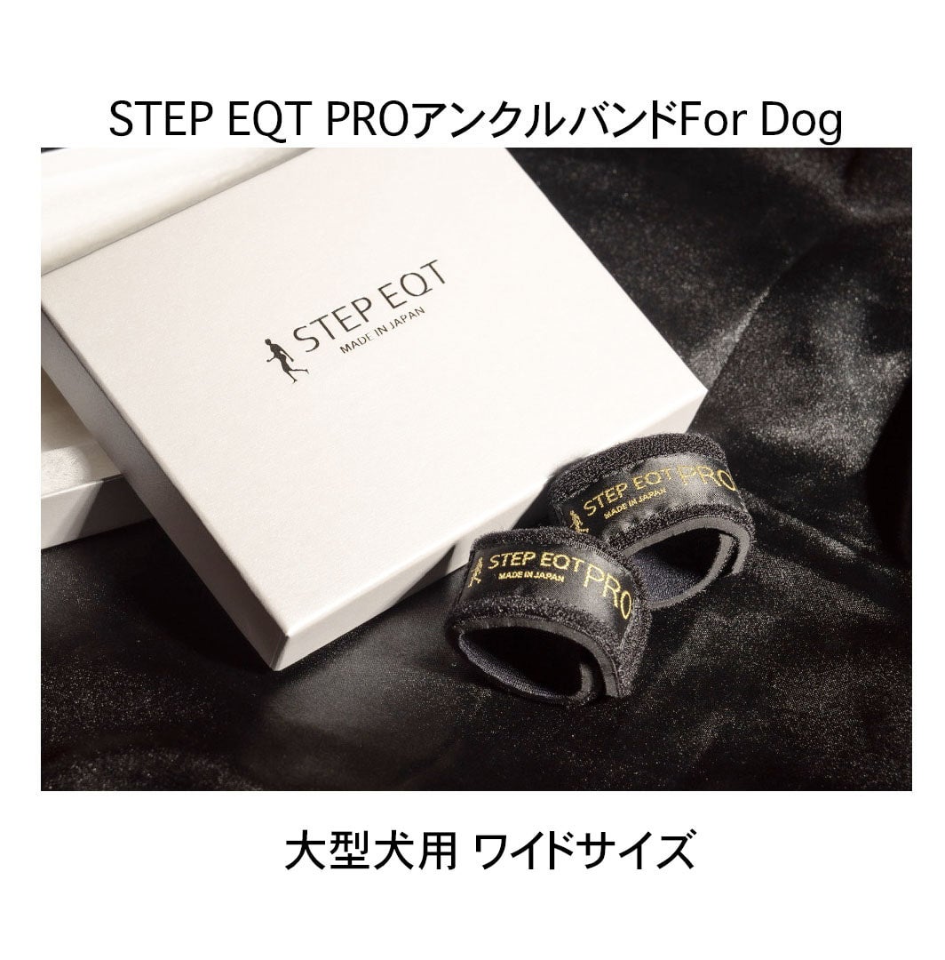 STEP EQT PROアンクルバンド2個セット レギュラーサイズ 歩けるくん