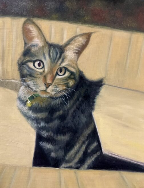 油絵 キッチン眠る猫 【送料無料】 油絵 キッチン眠る猫 【送料無料