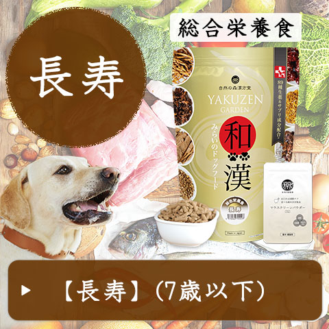 和漢みらいのドッグフード【和漢鹿肉アイケアジュレ】～和漢おやつシリーズ