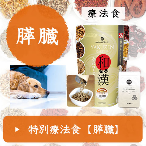 マウスクリーンパウダー 20袋 自然の森漢方堂 購入 自然の森製薬みらい