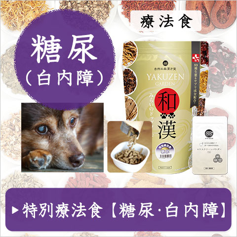 樹木ノチカラ（エキス粒・パウダー）紅豆杉エキス粒、紅豆杉茶から樹皮末へ