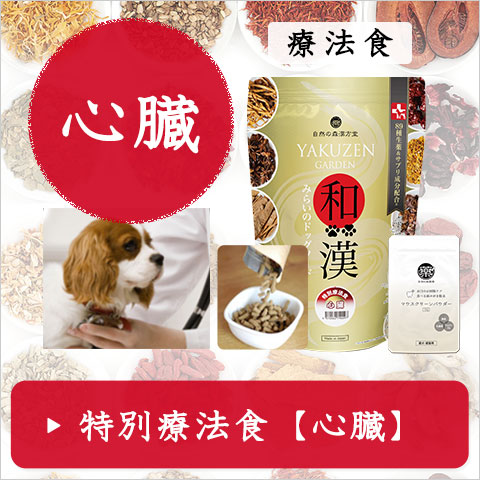 樹木ノチカラ（エキス粒・パウダー）紅豆杉エキス粒、紅豆杉茶から樹皮末へ