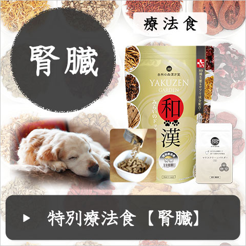 樹木ノチカラ（エキス粒・パウダー）紅豆杉エキス粒、紅豆杉茶から樹皮末へ