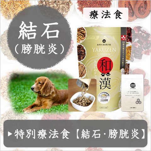 犬や猫の虫歯、歯周（歯垢・歯石）対策、歯磨き（歯みがき）、口腔環境