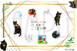 平田志穂子×音研 HP見える化バッジ』通販情報 | ShihokoHirata