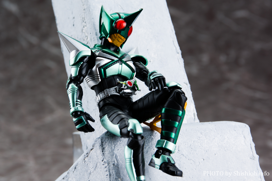 2018年1月11日【今日のアクション】S.H.F（真骨彫製法） 仮面ライダー