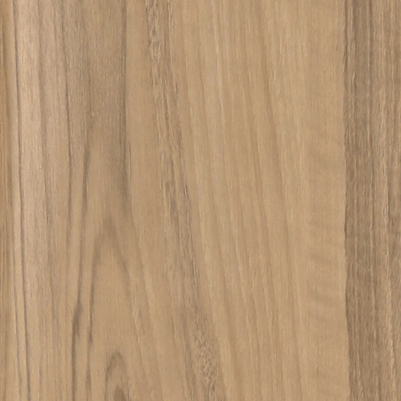 シンコール | BA7287 | 2024 BIG ACE