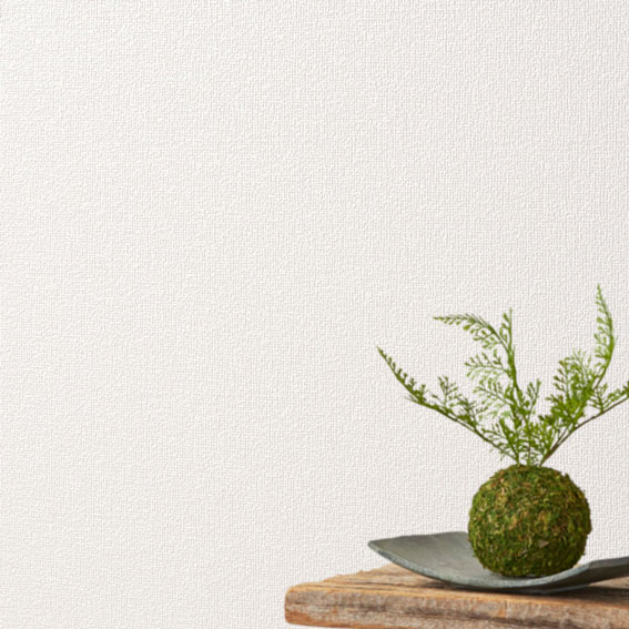 シンコール | RJ4889 | 2024 リフォーム上手