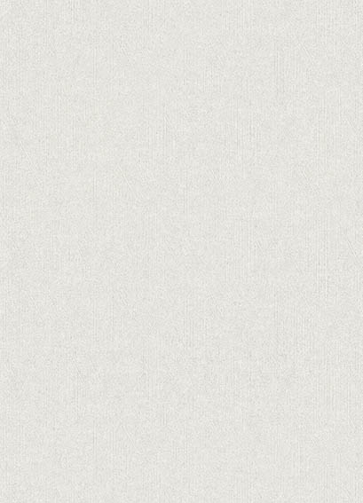 シンコール | BB2578 | 2025 BEST