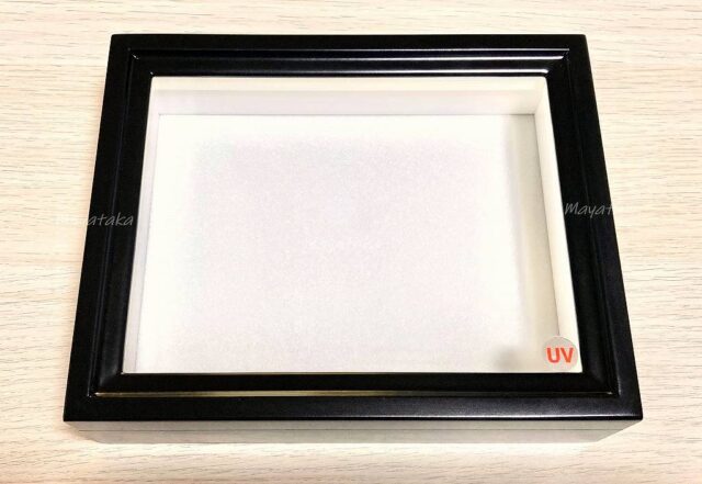 志賀昆虫大型ドイツ箱2箱セット バードウィング製 ドイツ型標本箱 大型