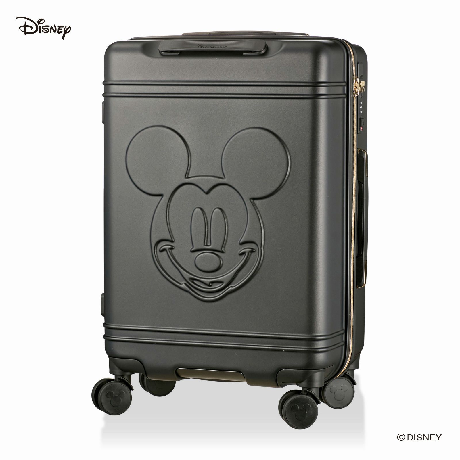 000000001731-01-m.jpg?t=