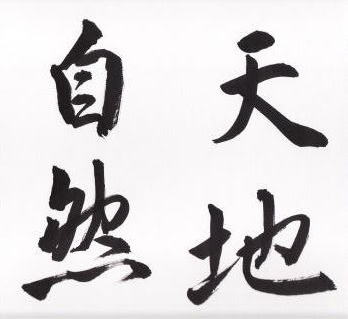 F6号色紙 画仙紙張（10枚入り） - 色紙・短冊販売 色紙屋